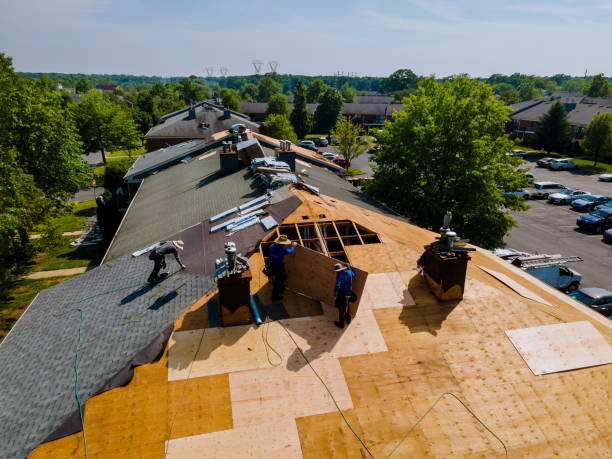 Best Roof Restoration Services  in Salamatof, AK