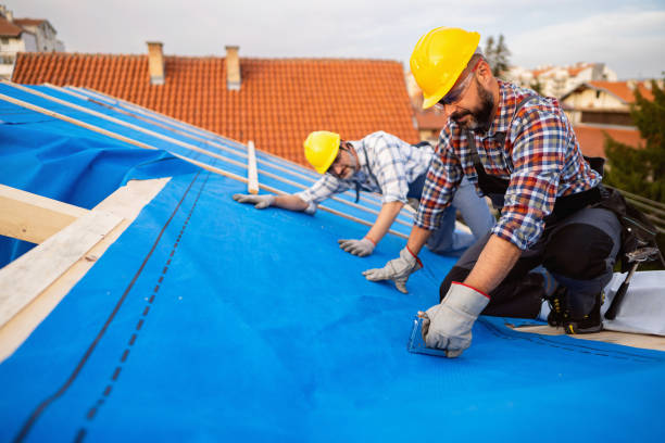 Best Roof Gutter Cleaning  in Salamatof, AK