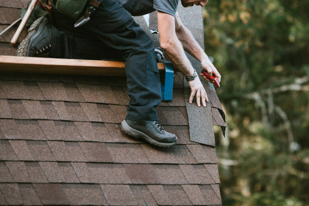 Best Storm Damage Roof Repair  in Salamatof, AK